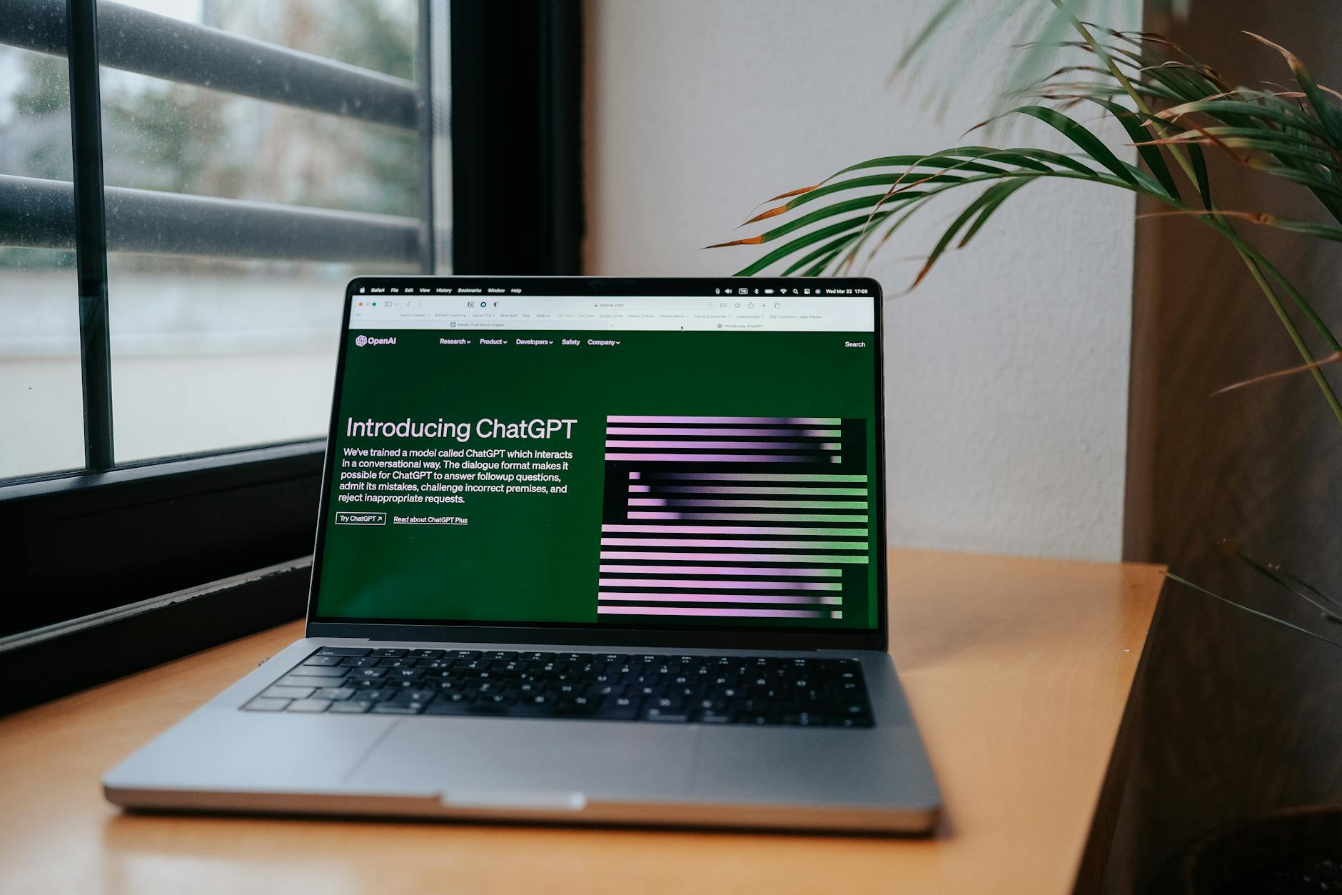Сравнение: chatgpt без регистрации и официальный аккаунт